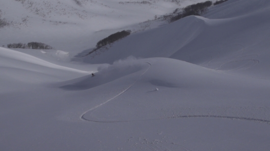 ヴェクターグライドとは