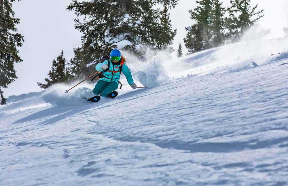 ディナスター 高価買取中