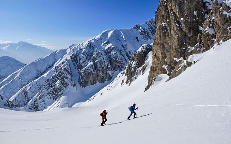 ディナフィット 買取